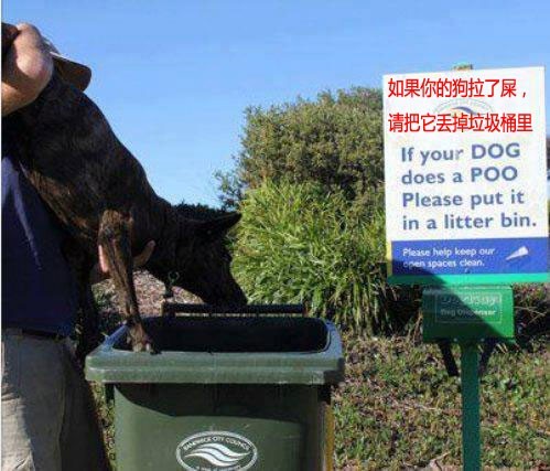 7d063873-414b-41ae-934d-1d463846cd1b