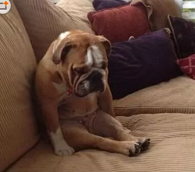 ec78a635-2479-4781-a384-fc8f364c7e84