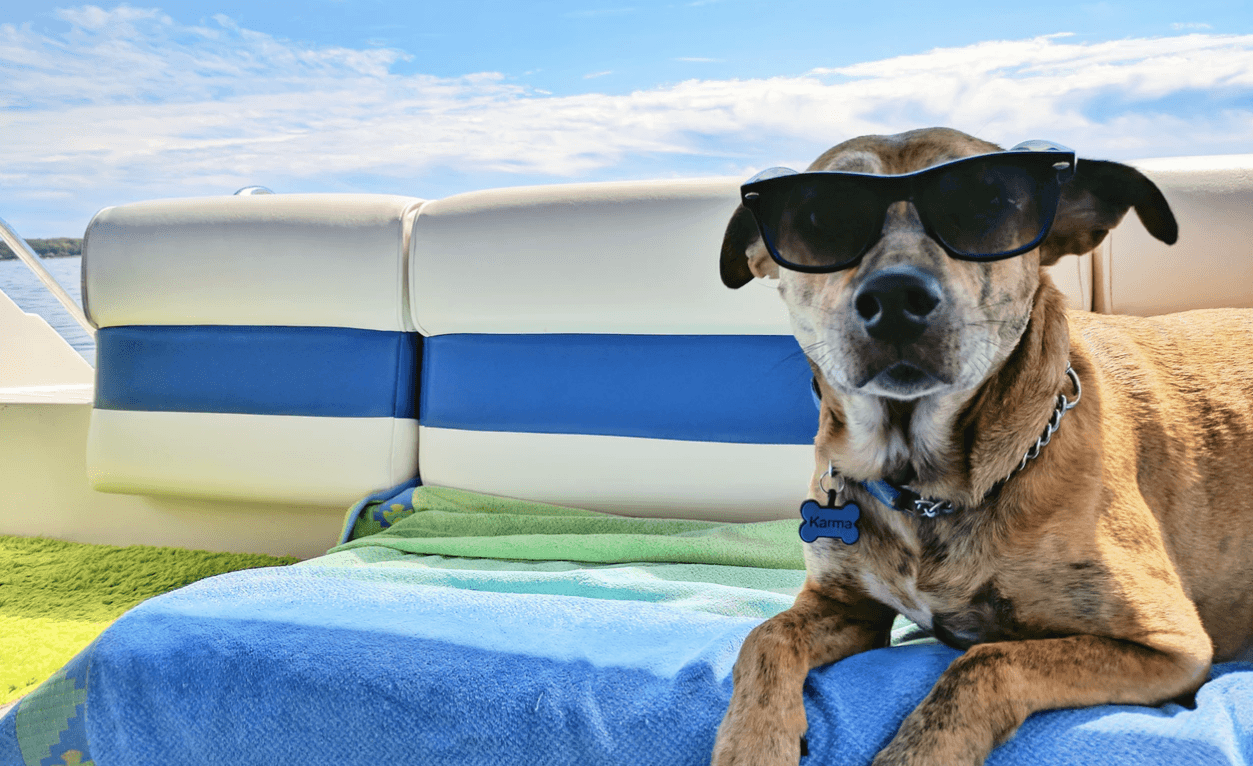 feadcef0-32e7-4670-9fc1-f430f026ff90